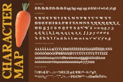 Bright Rustic Bold Serif Font