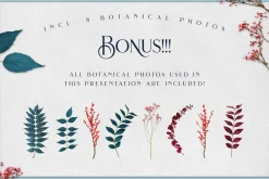 Brilon Font + Extras