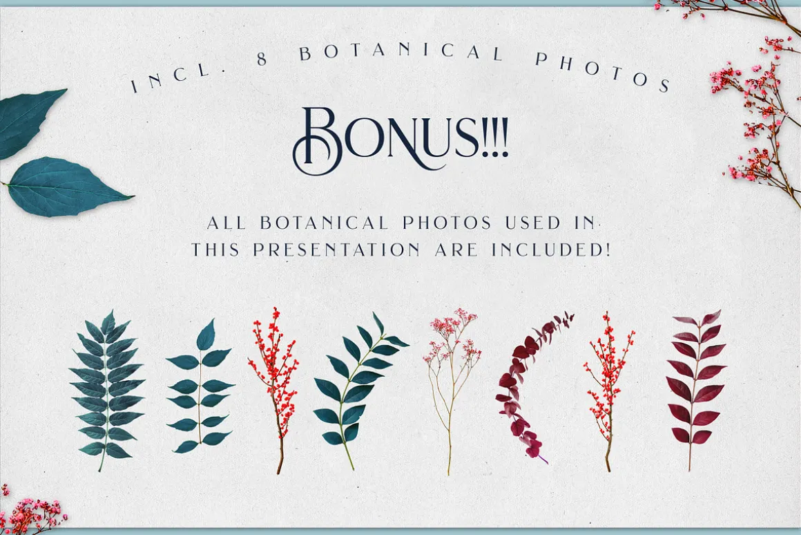 Brilon Font + Extras