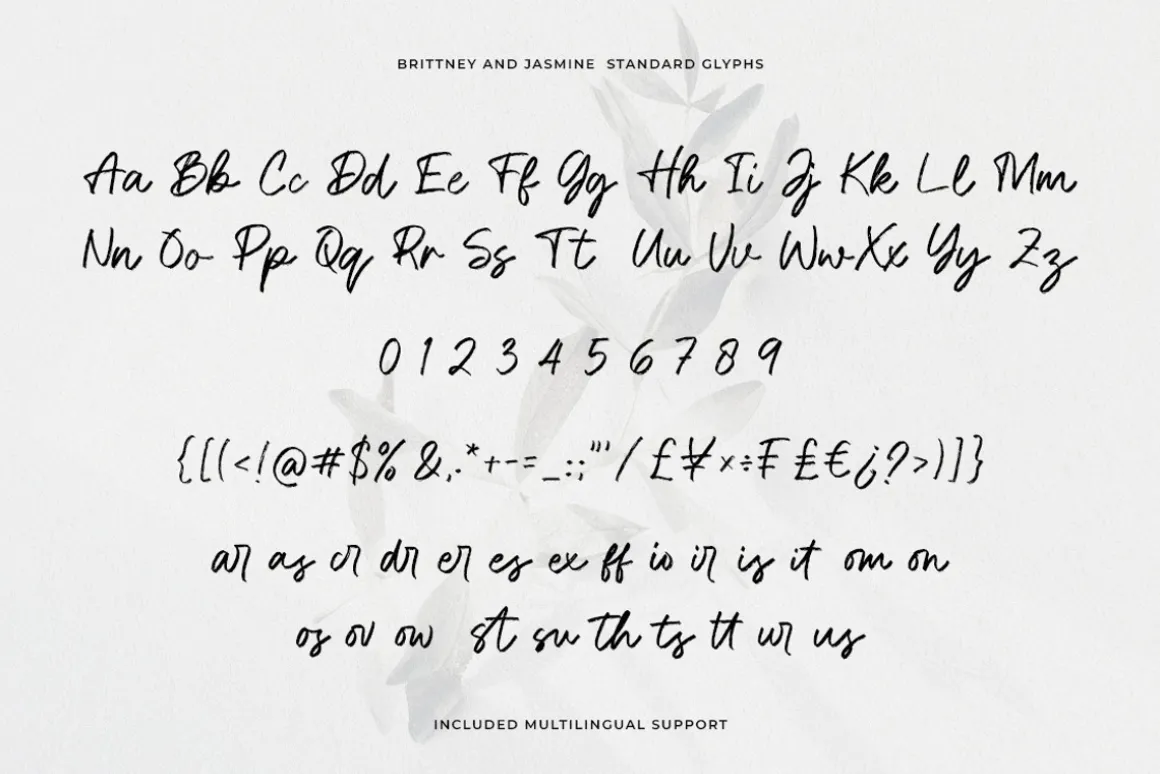 Brittney & Jasmine Brush Script Font