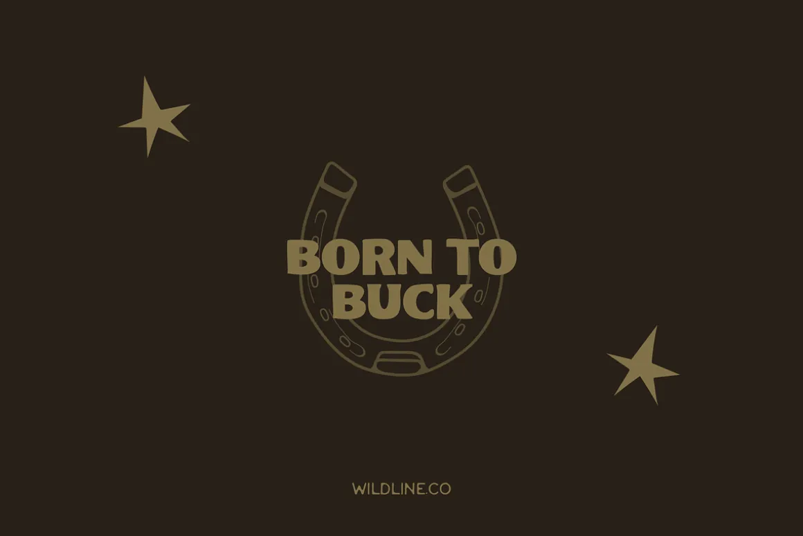 Bronco Serif | A Hand Lettered Serif