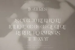 Brown Casalova | Stylish Typeface