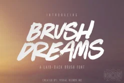 Brush Dreams