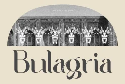 Bulagria Serif Display Font