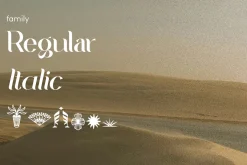 Bulagria Serif Display Font