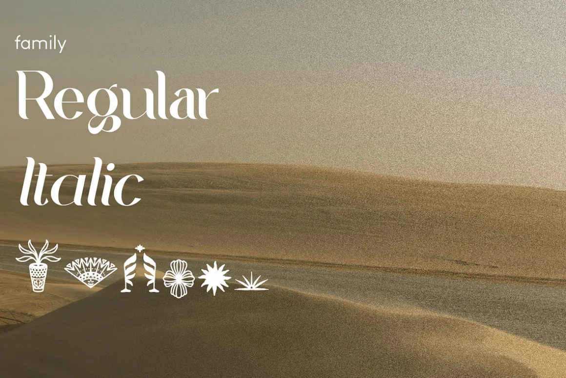 Bulagria Serif Display Font