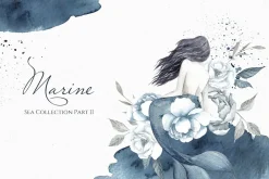 Bundle. Best Collection.