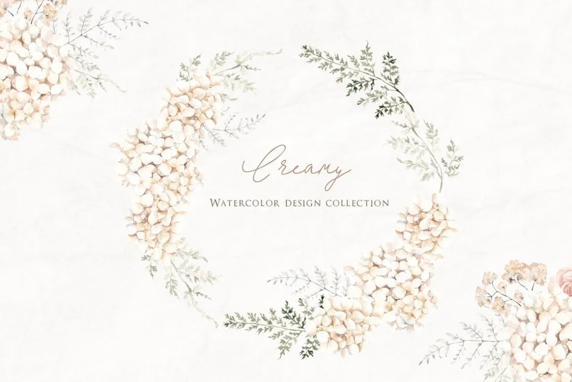 Bundle. Best Collection.