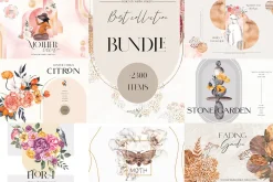 Bundle. Best Collection.
