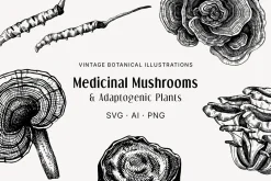 BUNDLE - Herbal Medicine Vectors