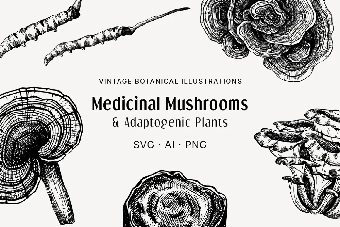 BUNDLE - Herbal Medicine Vectors