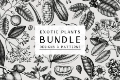 BUNDLE - Herbal Medicine Vectors