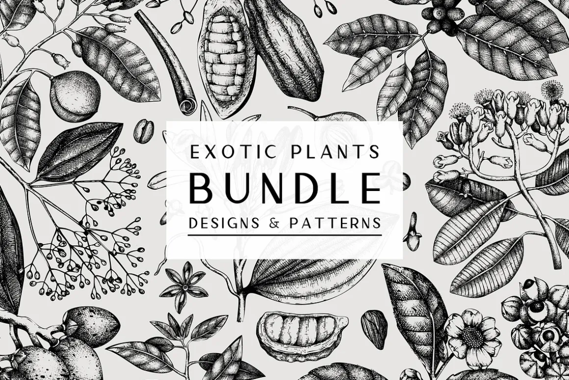 BUNDLE - Herbal Medicine Vectors