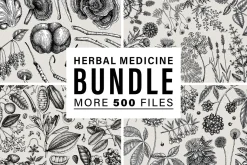 BUNDLE - Herbal Medicine Vectors