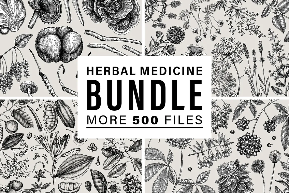 BUNDLE - Herbal Medicine Vectors
