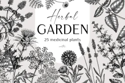 BUNDLE - Herbal Medicine Vectors