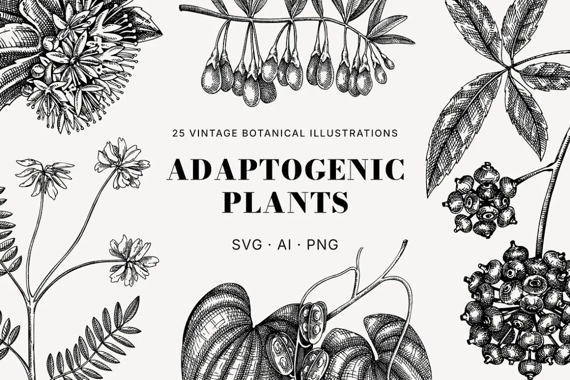 BUNDLE - Herbal Medicine Vectors