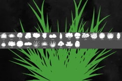 Bushes Grass Photoshop Stamp Brushes