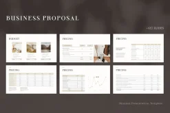 Business Proposal Presentation