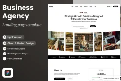 Business Agency Landing Page