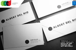 Business Card 13