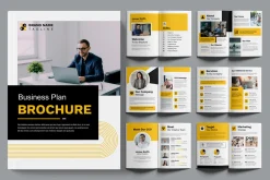Business Plan Brochure