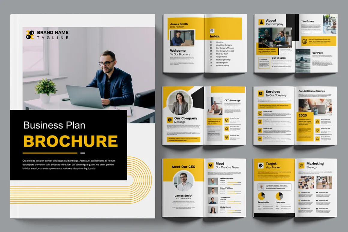 Business Plan Brochure