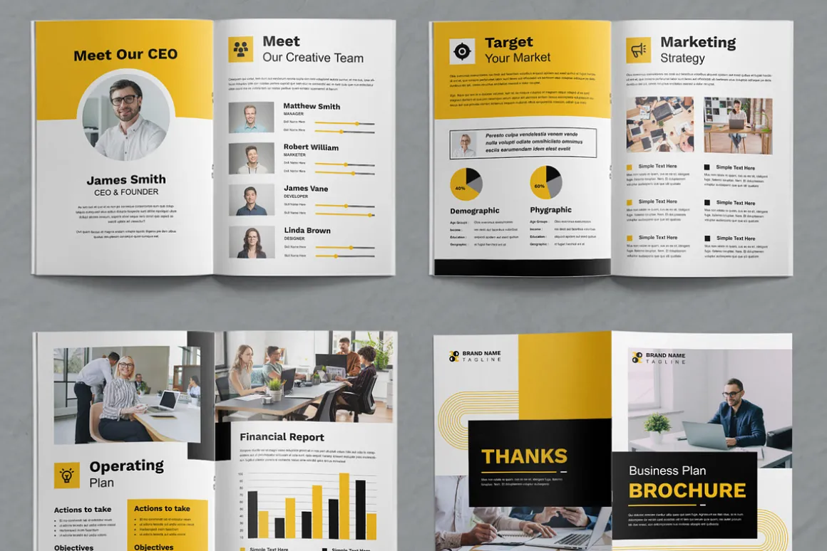 Business Plan Brochure