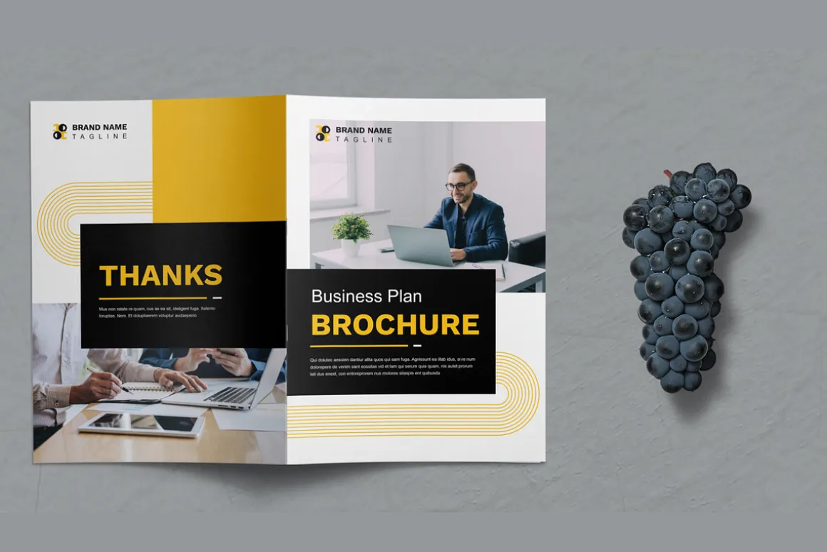 Business Plan Brochure