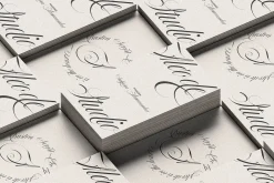 Bustra Script Pro