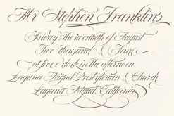 Bustra Script Pro