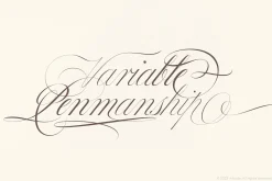 Bustra Script Pro