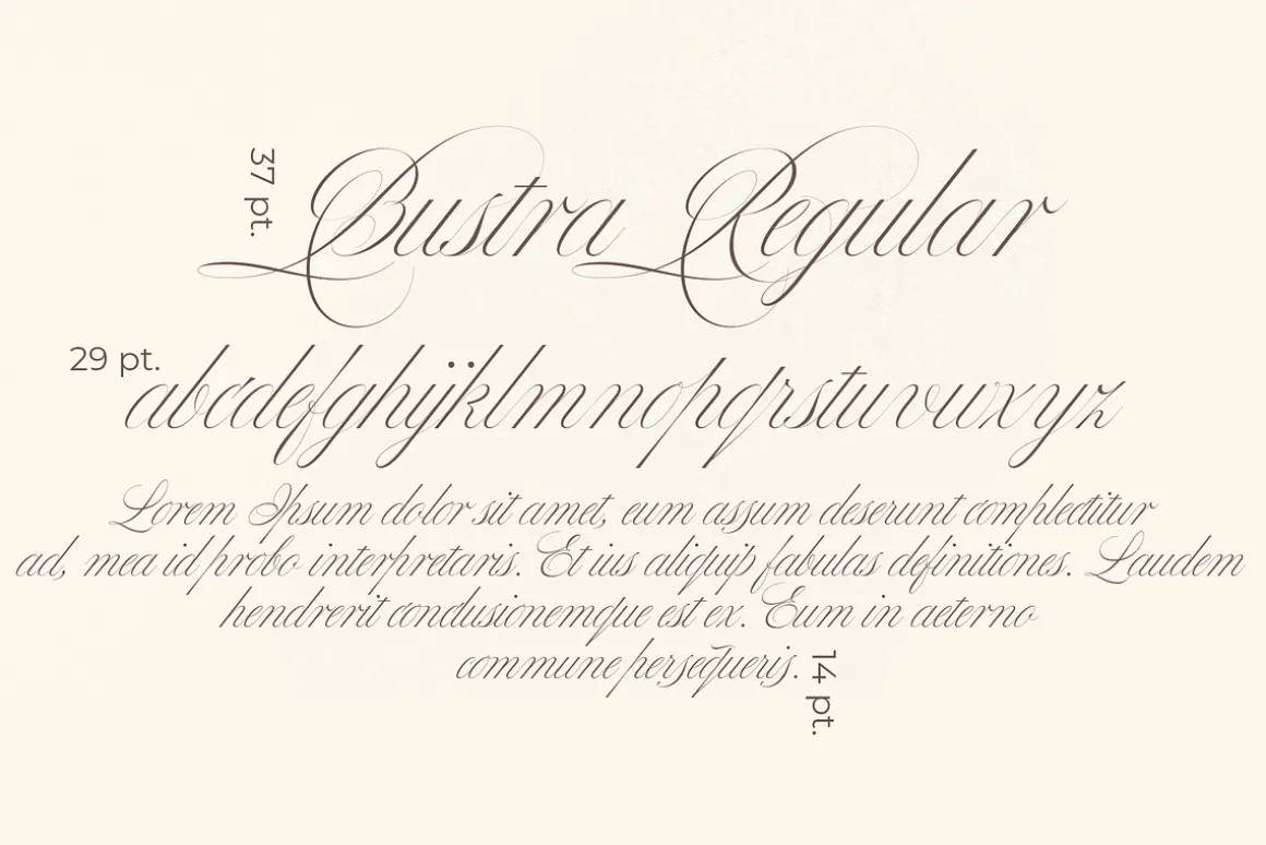 Bustra Script Pro