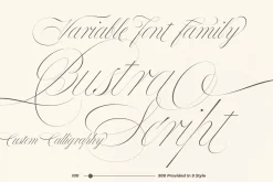 Bustra Script Pro
