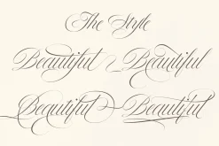 Bustra Script Pro