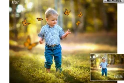 Butterflies Photo Overlays