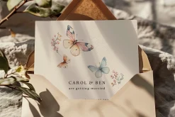 Butterflies Whimsical Spring