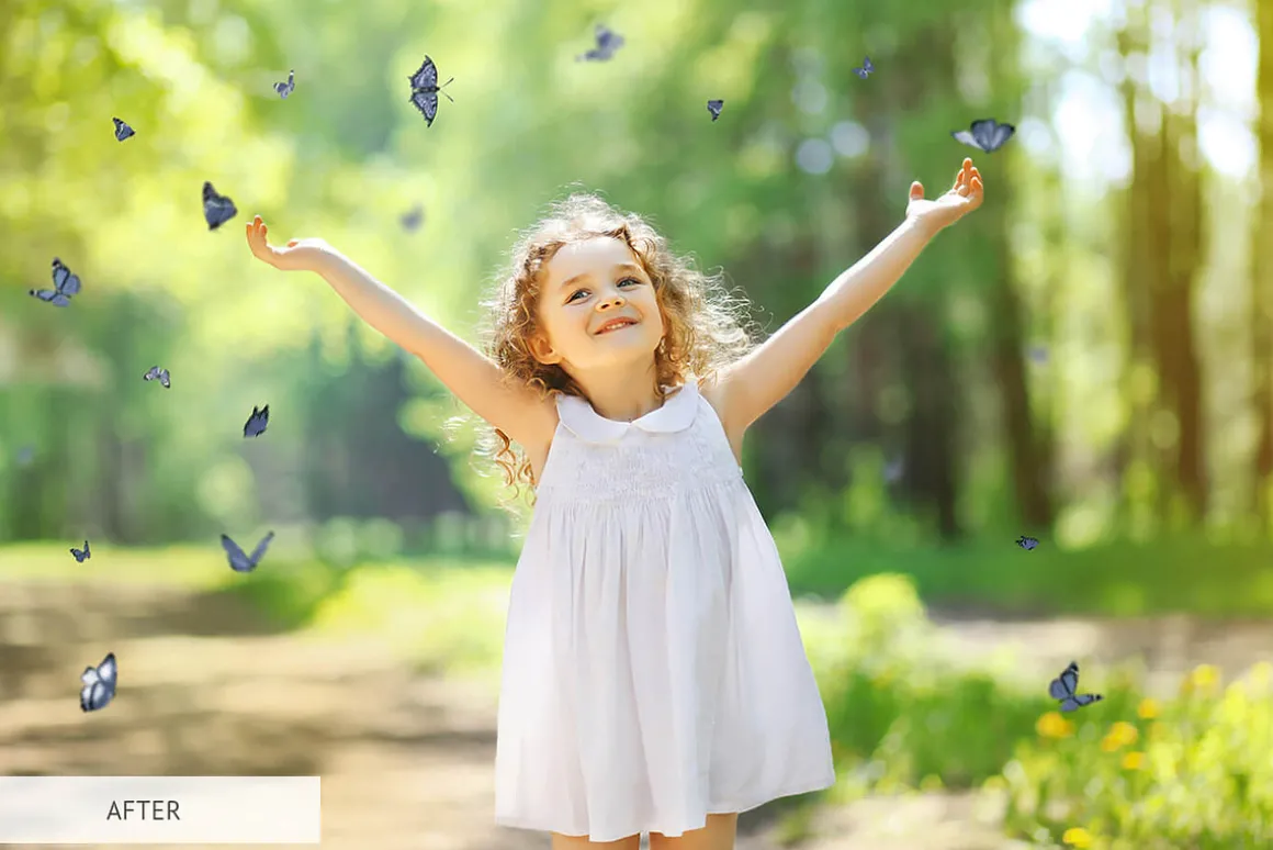 Butterfly Overlays Photoshop