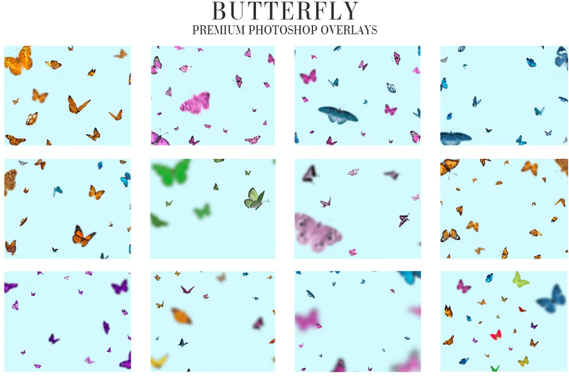 Butterfly Overlays Photoshop