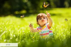 Butterfly Overlays Photoshop