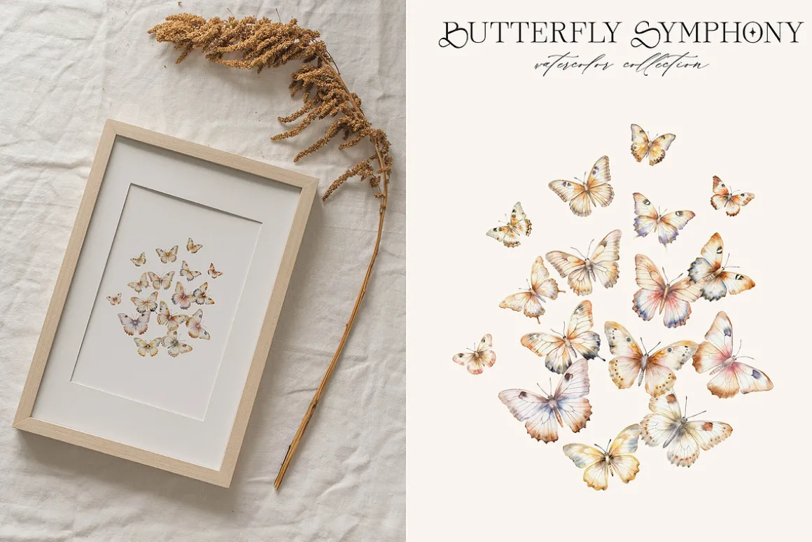 Butterfly Symphony Watercolor