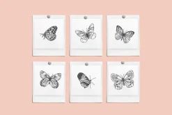 Butterfly Vector Illustrations