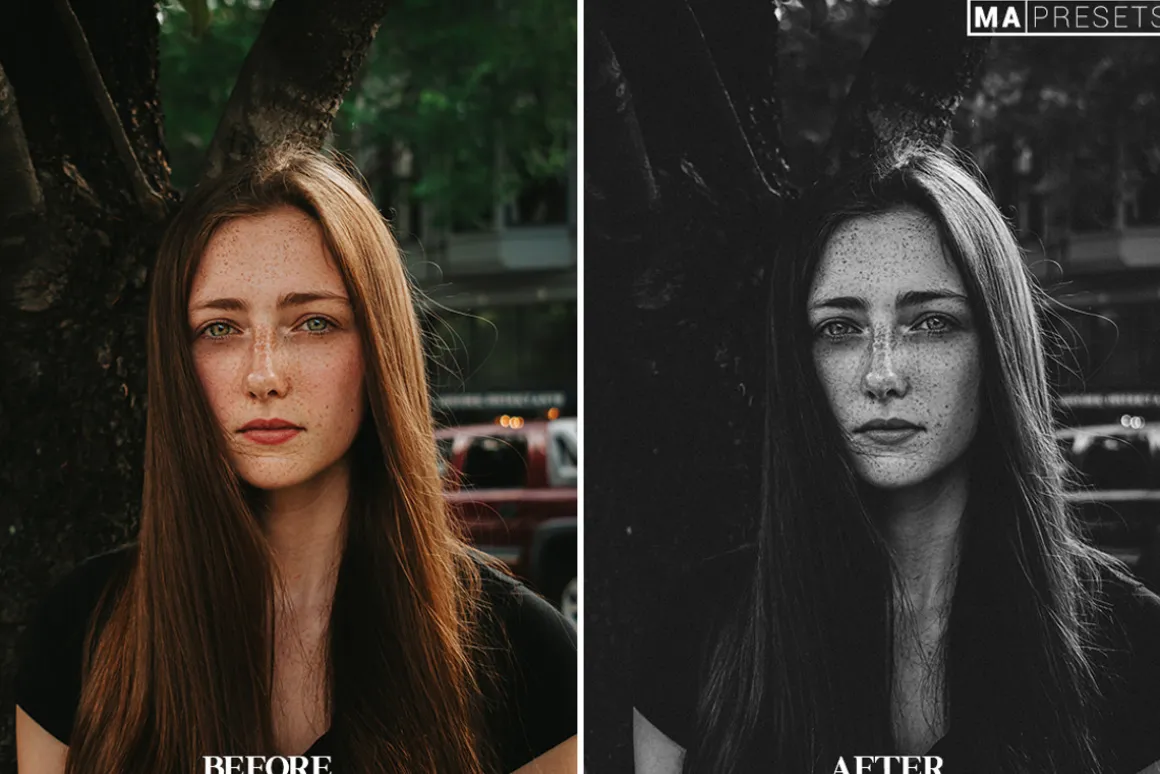 10 B&W FILM LOOK Lightroom Presets