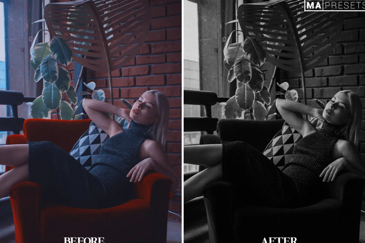 10 B&W FILM LOOK Lightroom Presets