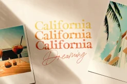 California Palms Fonts & Graphics