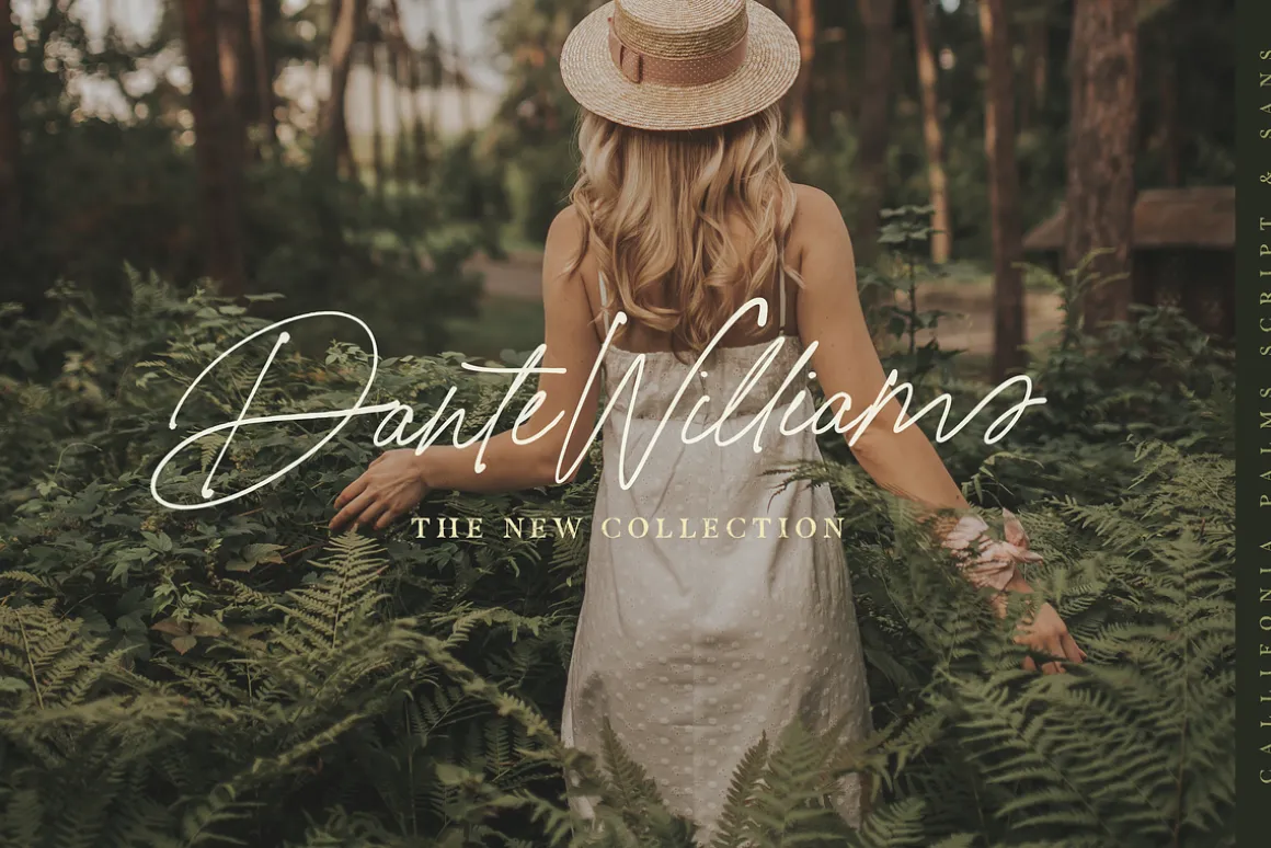 California Palms Fonts & Graphics