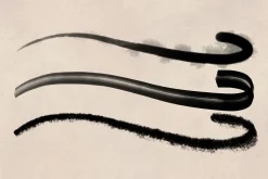 Calligraphy Brush Set