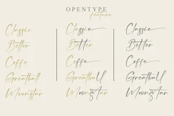 Callista - Signature Font