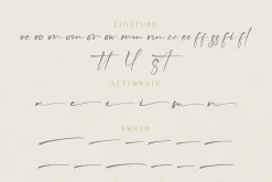 Callista - Signature Font