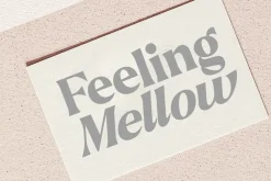Callum Text Serif | 9 Font